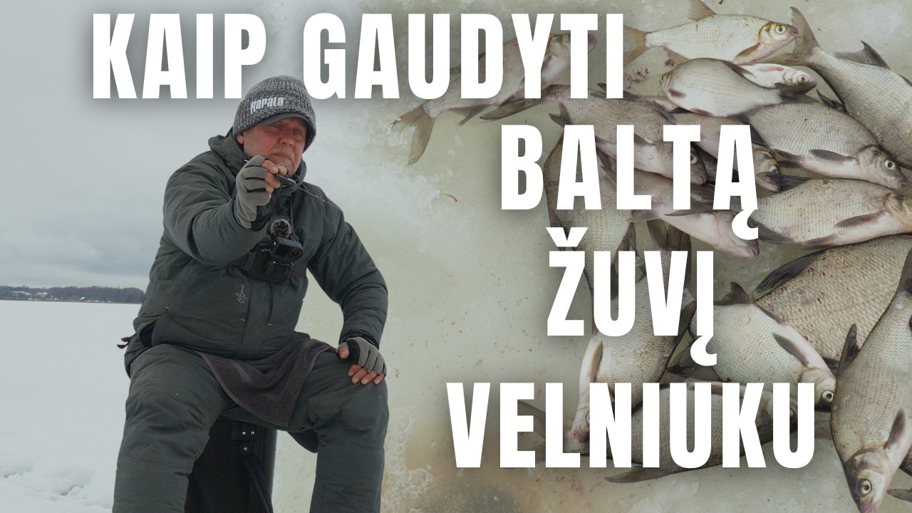 Karšiai bemasaline ežere su Pauliumi Korsaku | Vienam gale kablys | 4K
