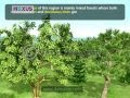 North America Climate, Vegetation, and Wildlife Quiz