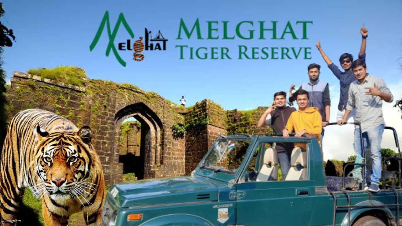 jungle safari in melghat