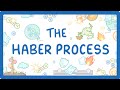 Understanding the Haber Process
