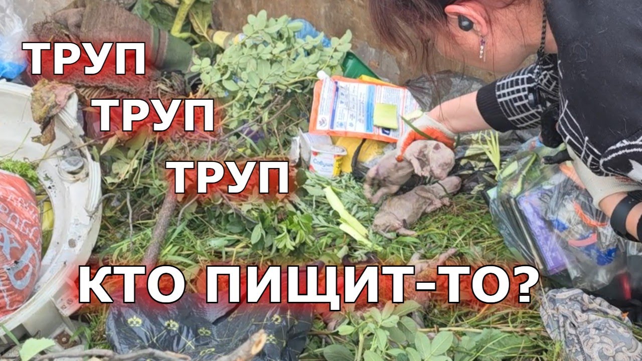 Похоронена заживо в братской могиле