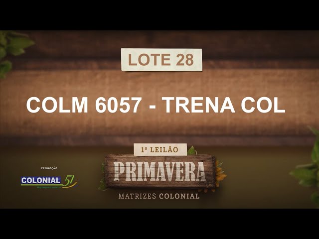LOTE 28   COLM 6057