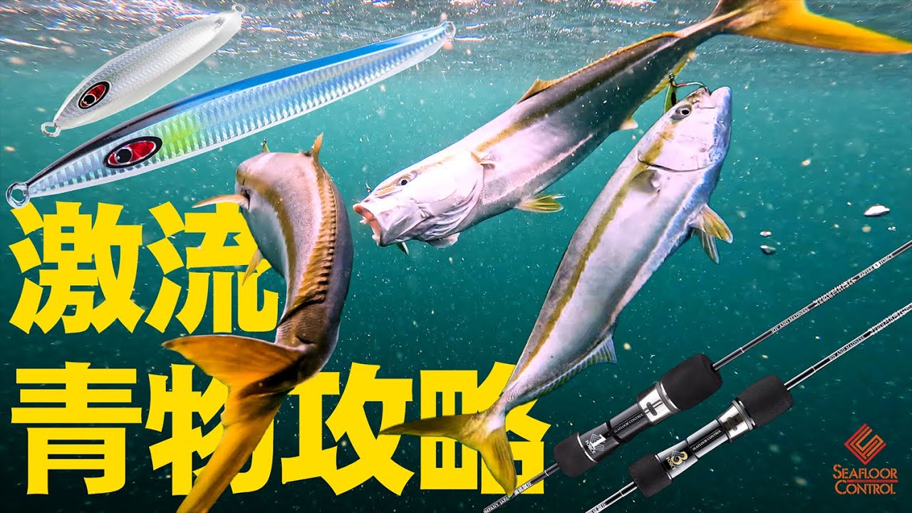 瀬戸内 クダコ水道】激流ポイントで青物攻略 ジギングのフォール
