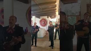 Las Mañanitas Con El Mariachi Nuevo Tamazula