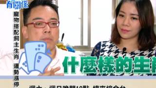 20161015風水有關係 - 新婚夫妻百事哀工作換不停,寵物搭配飼主生肖運勢漲停板!!
