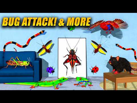 Cat TV Bug Attack! 🐞 3D Games for Cats | Birds, Mice & More | 4K