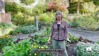 Garden Tips from the Florence Griswold Museum Episode 18