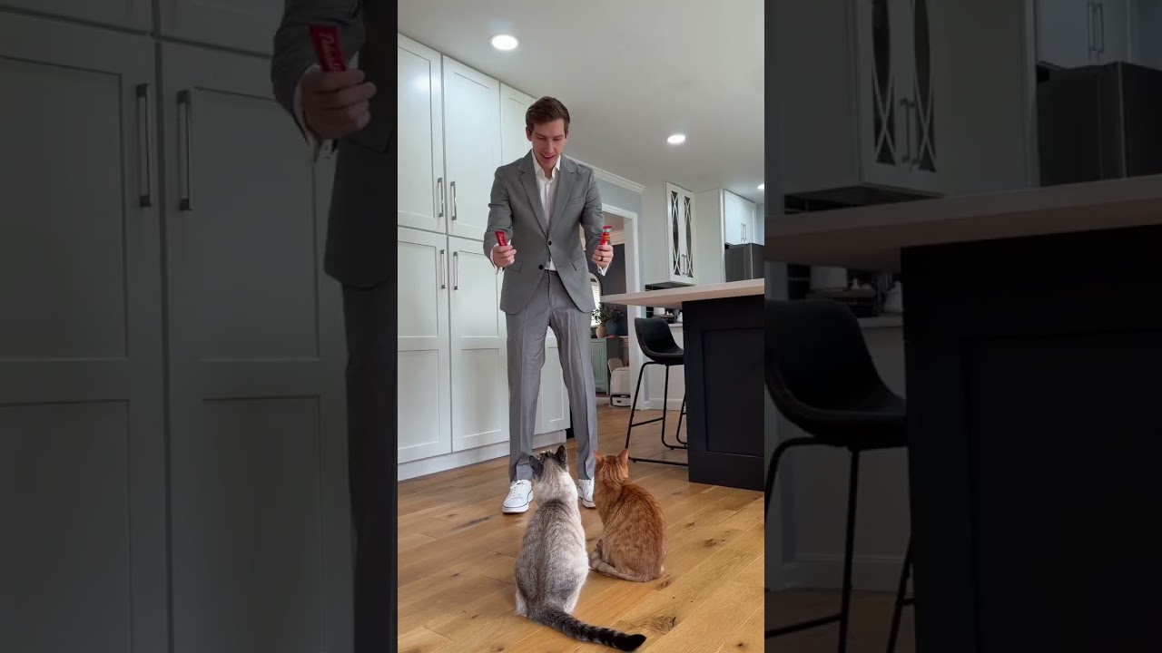 the hardest decision ever… Delectables is working with 4 shelters this february to help people find