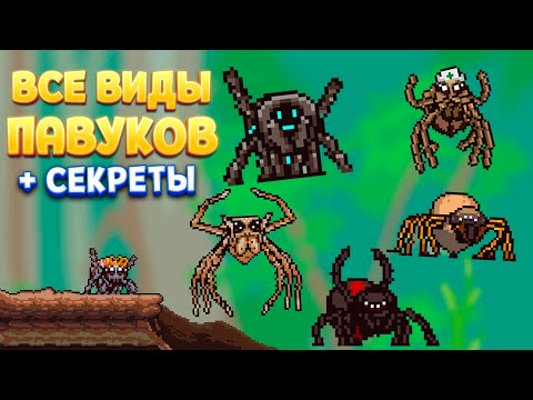 видео: ВСЕ ВИДЫ ПАВУКОВ + СЕКРЕТЫ ( Webbed )