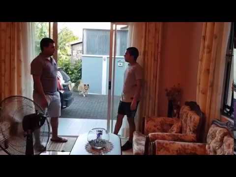 amateur clip video Amateur clip video
