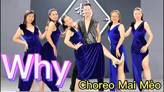 Why | Zumba | Choreo Mai Mèo | Thuận Zilo Zumba Dance