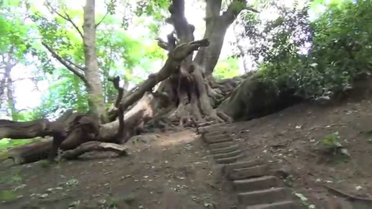 The Chained Oak Alton Towers YouTube