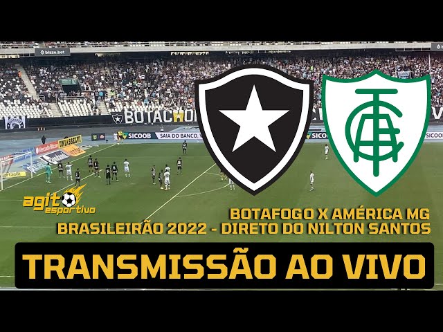 Botafogo x Sol de América: como assistir com link ao vivo e de graça pela  internet - FogãoNET