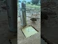 New DIY Quail Trap With Paper #shorts
