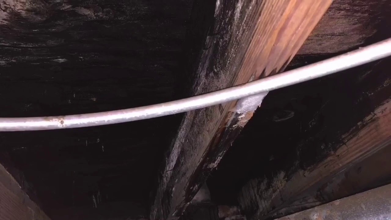 Plumbing Repair a rotted floor and Install toilet flange,bath tub and