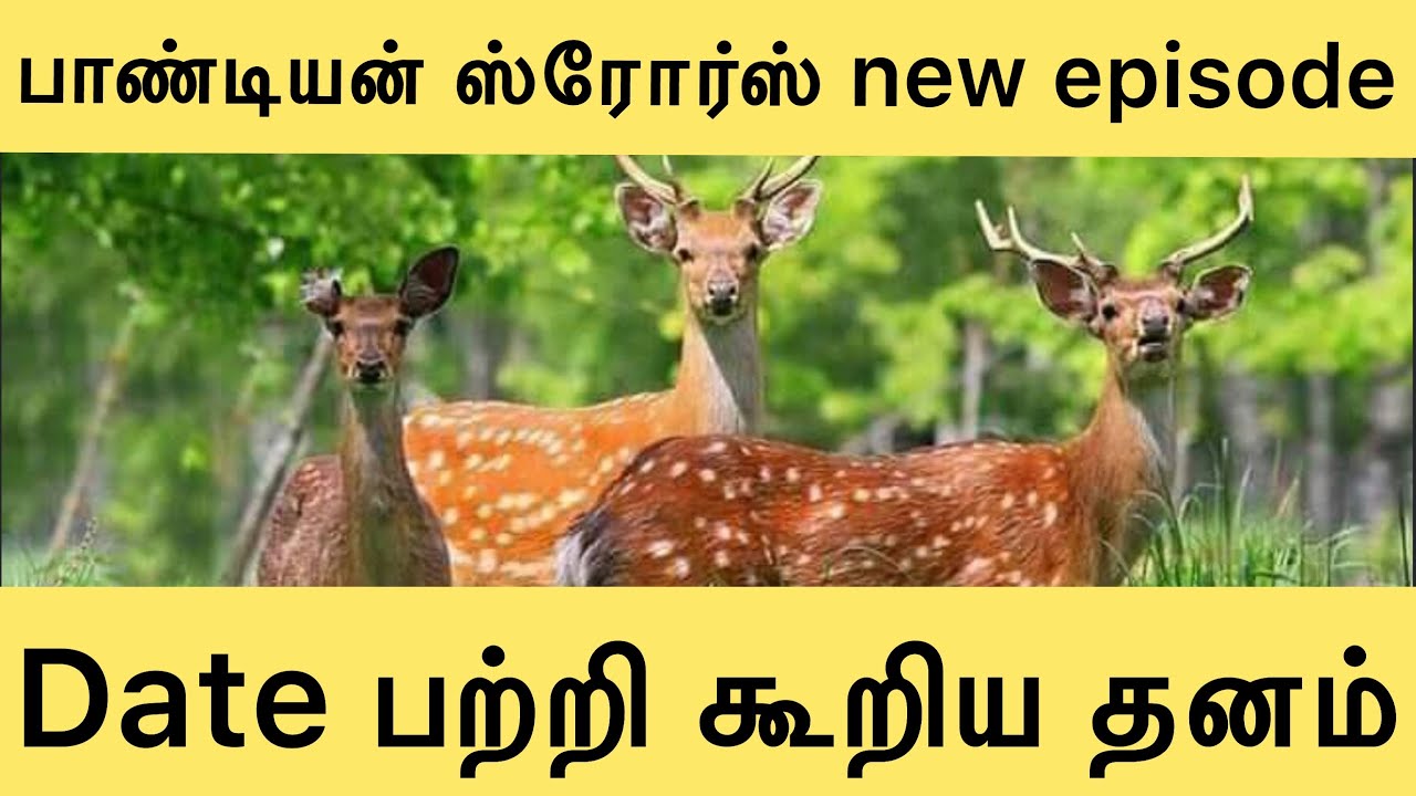 pandian stores serial pandian stores serial