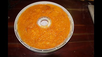 Dehydrating eggs for long term storage