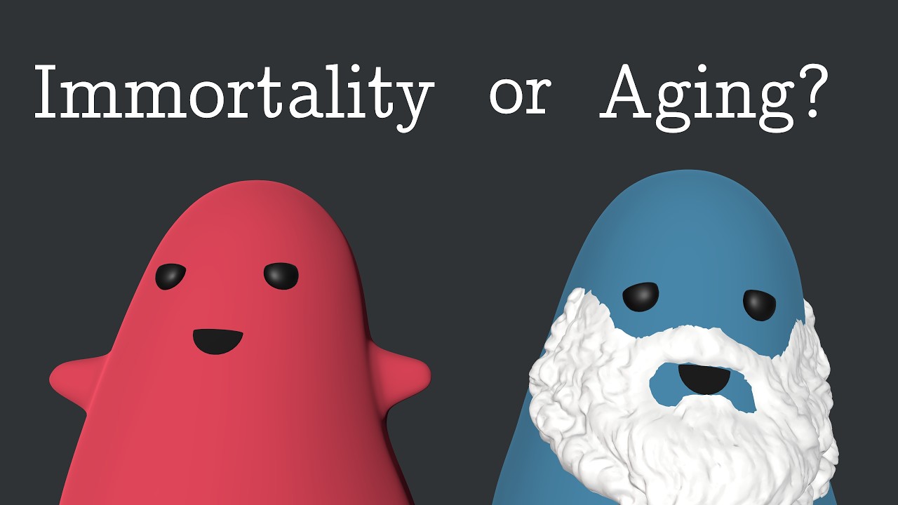 Simulating the Evolution of Aging - YouTube