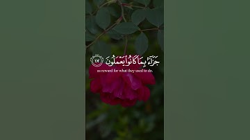 سورة السجدة | الآية ١٧ تلاوة عبد الرحمن مسعد