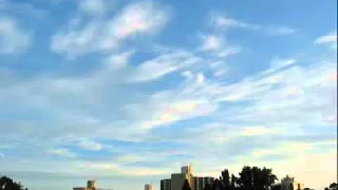 花 Memento Mori تحميل Download Mp4 Mp3