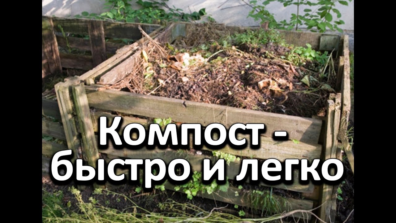 Простой и легкий способ получения питательного компоста осенью.