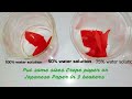 Experiments Showing Different  Factors affecting the rate of Chemical reaction