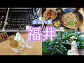 女ひとり福井旅行!1泊2日の観光で絶景&ご当地グルメを楽しむVlog