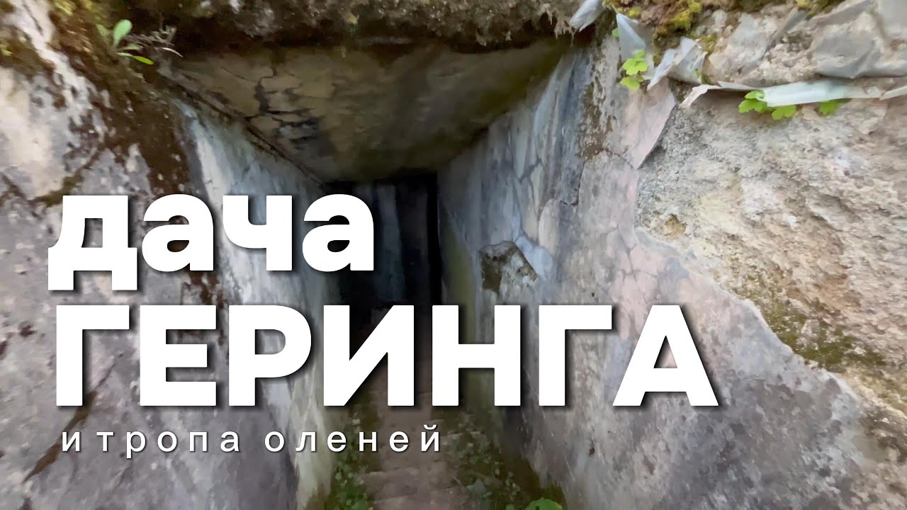 Забрёл на дачу Геринга | ПВД в Пруссии