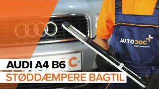 Hvordan skifter man Fjäderben AUDI A4 (8E2, B6) - vejledning