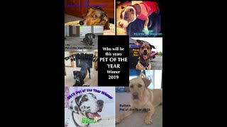 Pet of the Year 2019  Nominees