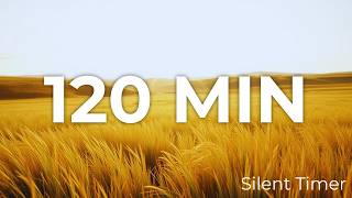 2 Hour Silent Deep Work Timer | Long Focus Marathon | Study Countdown