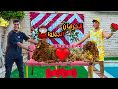 لما تعمل انت واخوك فرح لخرفان العيد سيف عماد