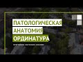 Патологическая анатомия. Программы ординатуры СПбГПМУ