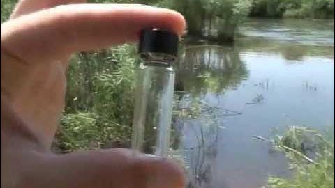 Testing Dissolved Oxygen- World Water Monitoring Challenge