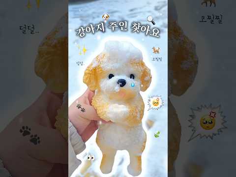 버려진 강아지 주인 있나요..? 강아지 말랑이 씻겨주기 ASMR..🛁