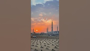 واتقوا يوما ترجعون فيه إلى الله #تلاوات_خاشعة #قرآن #راحة_نفسية #كريم #satisfying #شريف_مصطفى