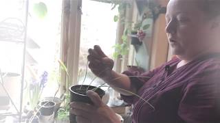 Persille Ingerslev Snakker Gendyrk