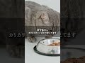 飼い主が留守の時の猫の感情!!#ネコ#Kニャンコ#猫