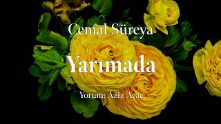 Cemal Süreya - Yarımada
