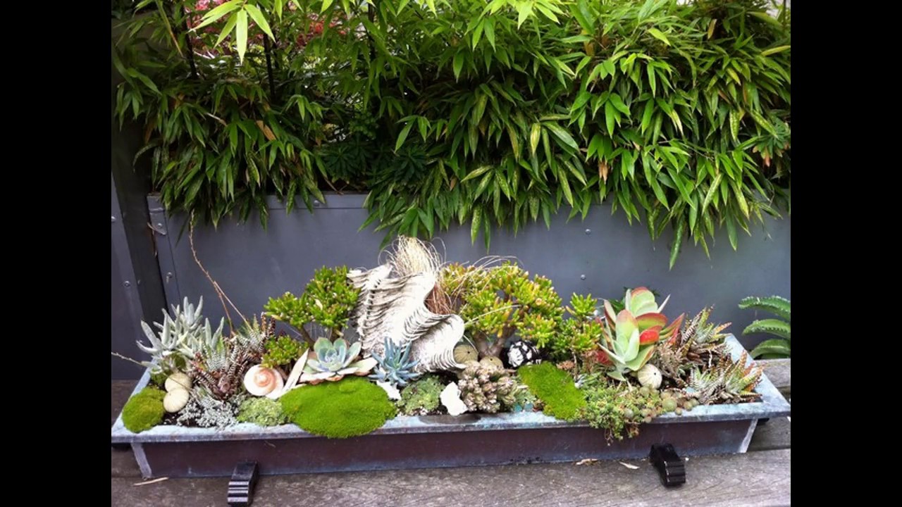 Ideas para jardines tropicales - YouTube