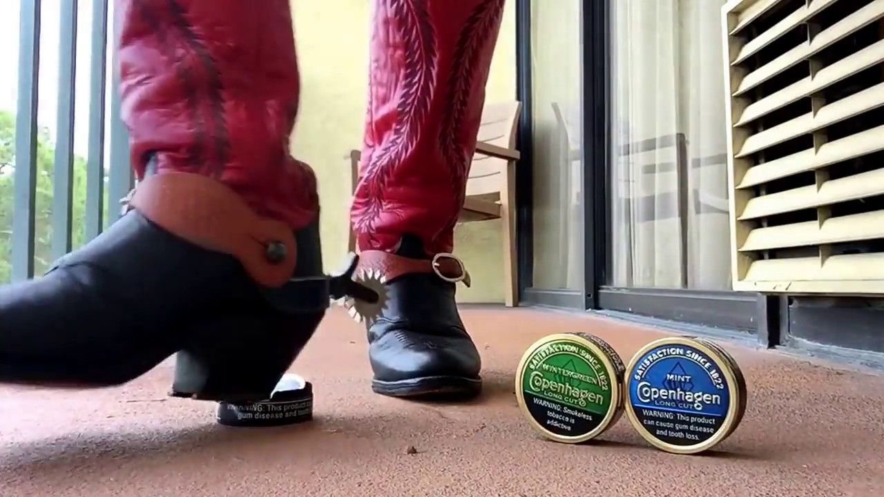 18" olathe's with jingle bob spurs and horseshoe taps crush some dip