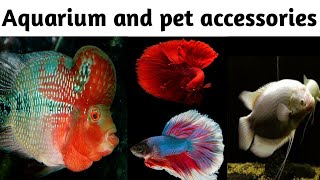 Aquarium shop in Trichy | Golden Aquarium Trichy Part - 2 | #xplorewithvj |