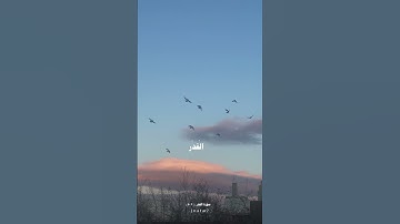 سورة القدر ❤️‍🩹راحة نفسية