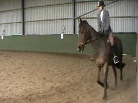 Dalnair Dressage