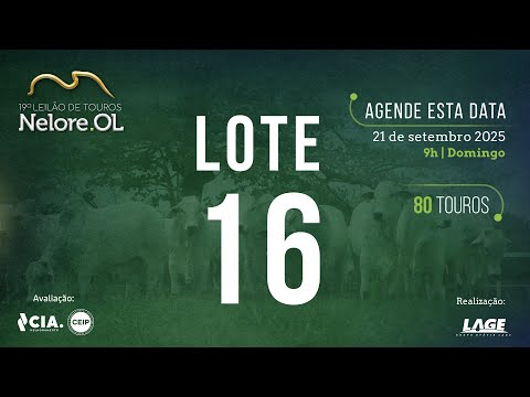 LOTE 16 V30461 - 19º Leilão de Touros Nelore OL