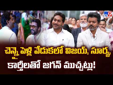 చెన్నై పెళ్లి వేడుకలో విజయ్, సూర్య, కార్తీలతో జగన్ ముచ్చట్లు! | YS Jagan Mohan Reddy - TV9 - TV9
