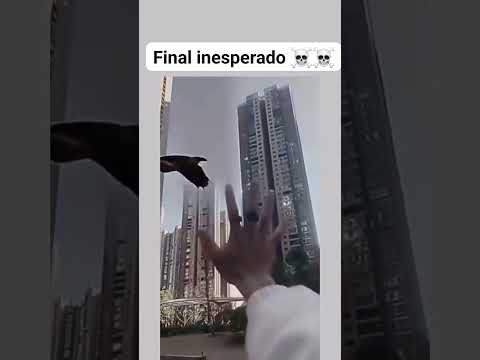 Tadinho 😂😂#humor #engraçado #viral #fyp #comedia #tops #furyou #funnyvideos #shorts
