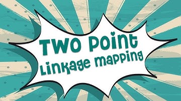 Two point Mapping II 3 Easy Steps II Recombination frequency II Linkage
