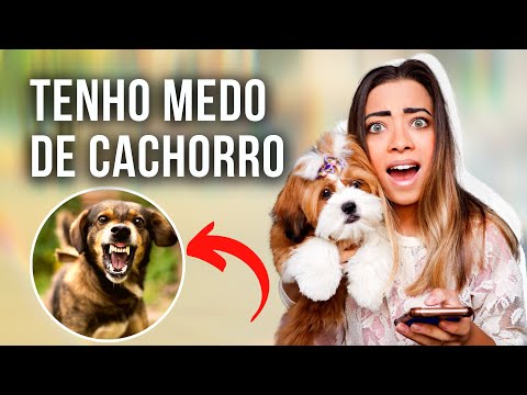Vídeo: Cinofobia: Compreendendo O Medo Dos Cães