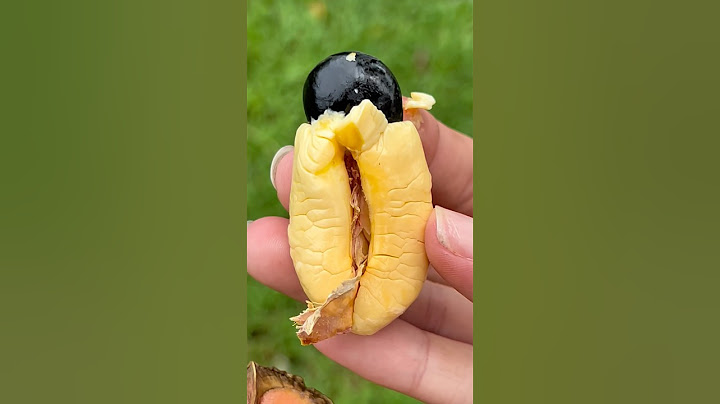 Ackee Fruit like Cheese that’s grows on trees! 🧀🌳 #asmr #farm